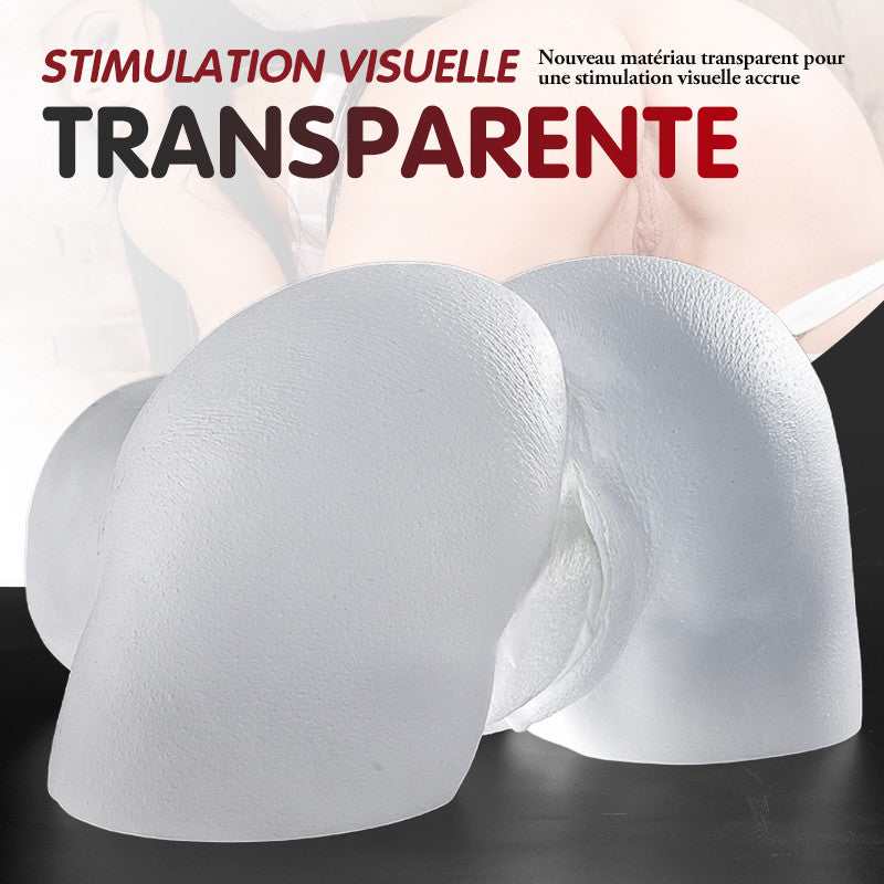 Fesse réaliste d'art transparente 2.45kg