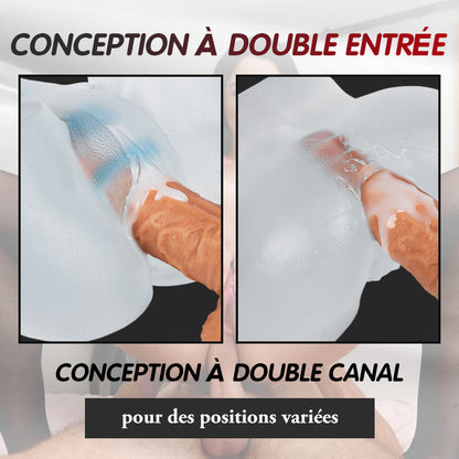 Fesse réaliste d'art transparente 2.45kg