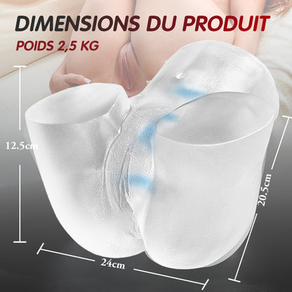 Fesse réaliste d'art transparente 2.45kg
